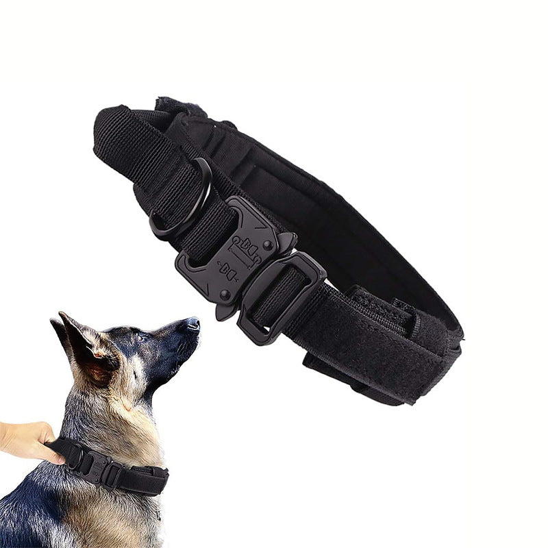 Adjustable Dog Collar – Comfort Fit