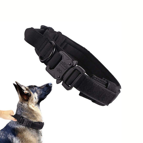 Adjustable Dog Collar – Comfort Fit