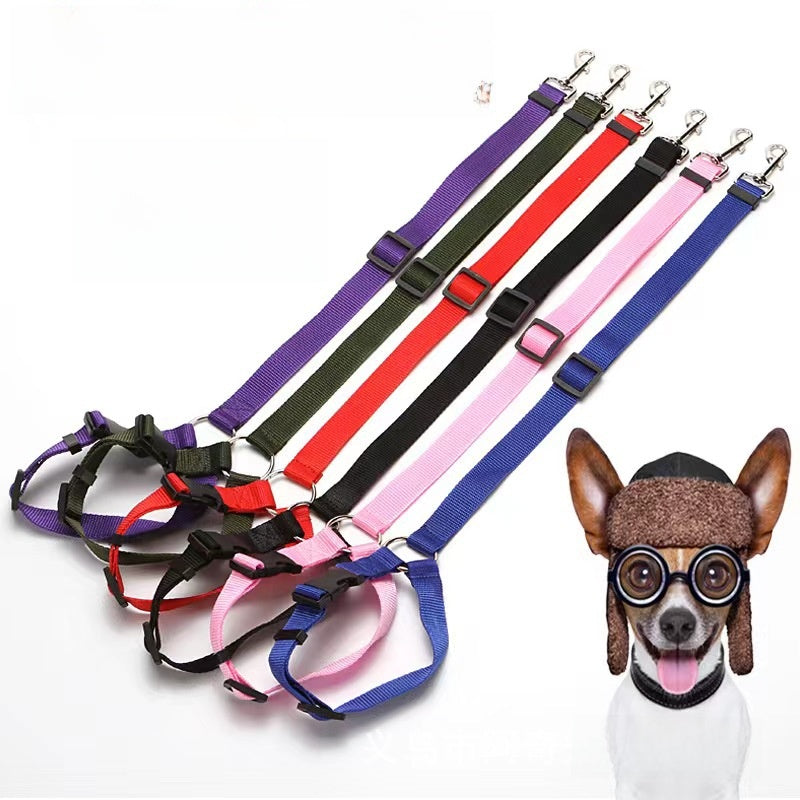 Retractable Dog Safety Leash