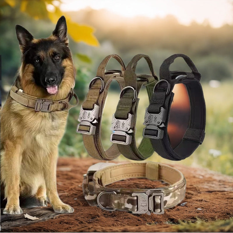 Adjustable Dog Collar – Comfort Fit