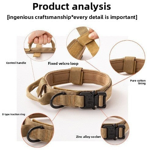 Adjustable Dog Collar – Comfort Fit