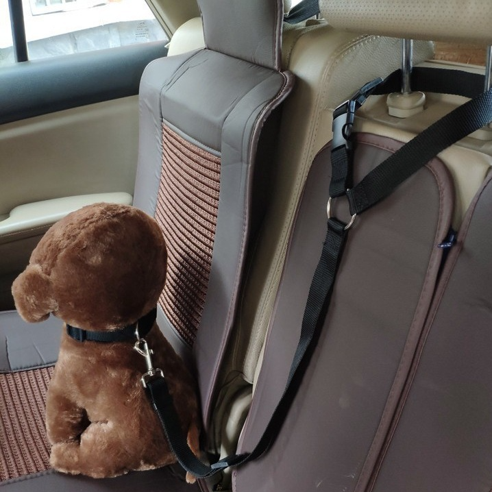 Retractable Dog Safety Leash